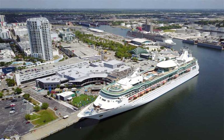 ship docked at terminal royal caribbean port tampa bay
