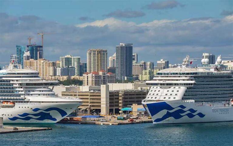 ships at dock port terminal princess cruises port everglades fort lauderdale