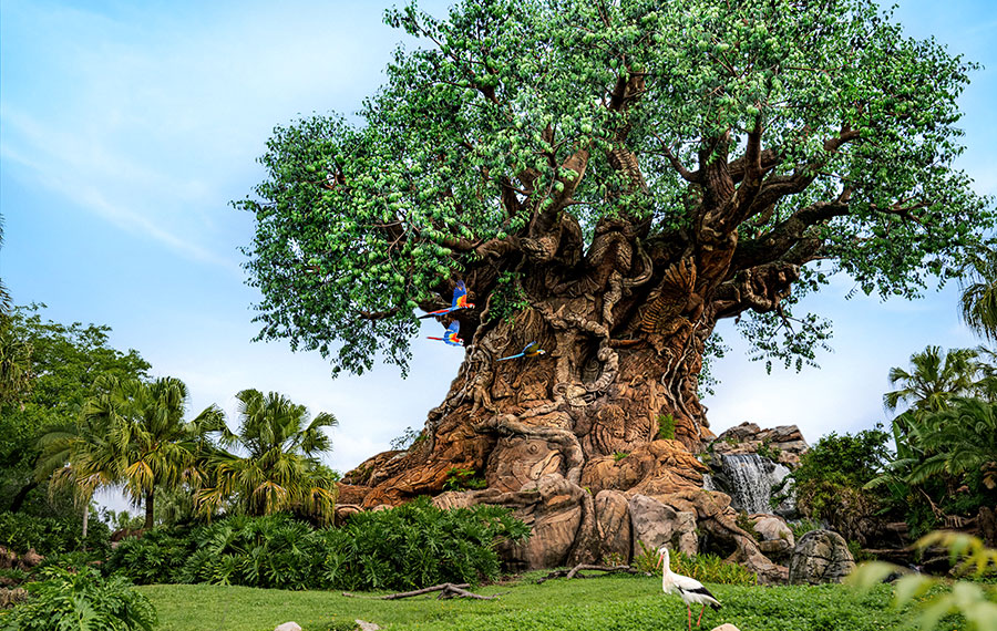 tree of life with birds at animal kingdom park at disney world