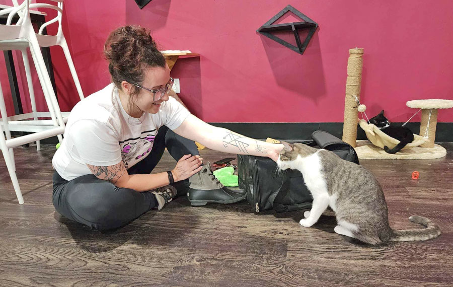 woman sitting on floor petting cat tally cat cafe tallahassee