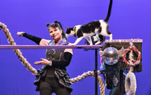 trainer leading tuxedo cat across tightrope trick amazing acro cats
