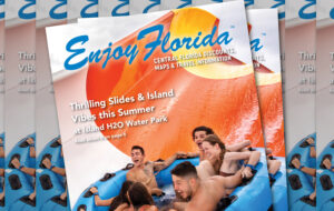 stacks of magazines with young people on raft slide at island h2o water park for enjoy florida magazine cover