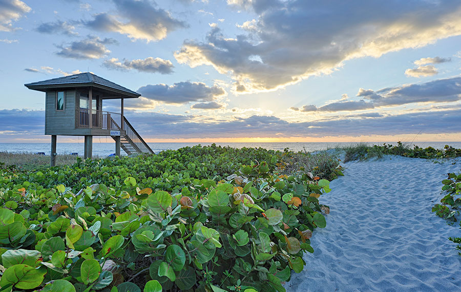 lifeguard stand and sea oats on dunes along beach with sunrise sky delray beach