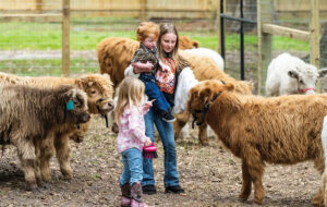 three young girls in corral petting small cows at mini moo land boggy creek airboat adventures