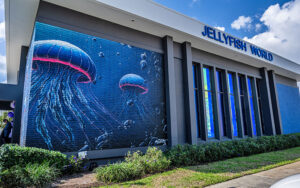 front exterior with mural at jellyfish museum pompano beach