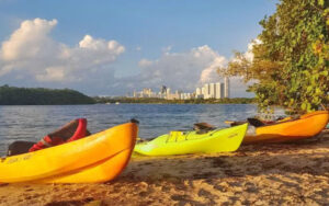 row of kayaks on bank at oleta river adventures miami