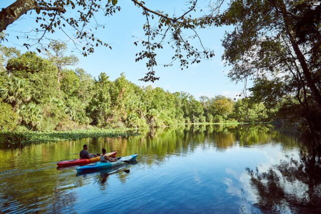 With more than 2,000 lakes and rivers, Seminole County (Orlando North) makes it easy to find a place to get in some kayaking, canoeing or paddleboarding. 
@doorlandonorth 
https://doorlandonorth.com/