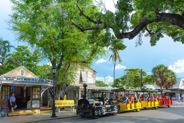 Historic Tours of America takes pride in showcasing Key West’s historical significance and contributing to its cultural vitality. Through our immersive experiences, we aim to foster a deeper appreciation for Key West’s unique charm, its pivotal role in history, and its profound impact on American culture.
@historictoursofamerica