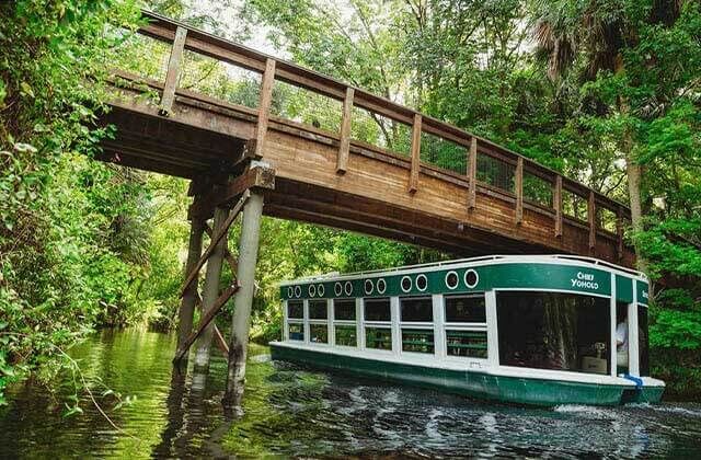 Silver Springs' glass bottom boat tours are one of Ocala's hidden gems and a great reason to visit! 
@ocalamarion