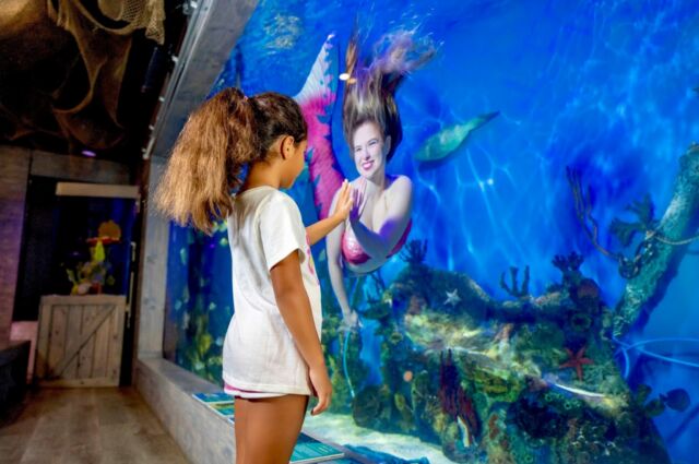 Discover the enchantment of the ocean firsthand with Mertailor's Mermaid Aquarium Encounter. Witness graceful mermaids gliding through serene waters while learning about diverse marine life species. Explore 20+ exhibits, including interactive touch tanks with stingrays and starfish. Dive into an educational and captivating experience, unraveling the secrets of the deep.
@mermaidaquariumencounter