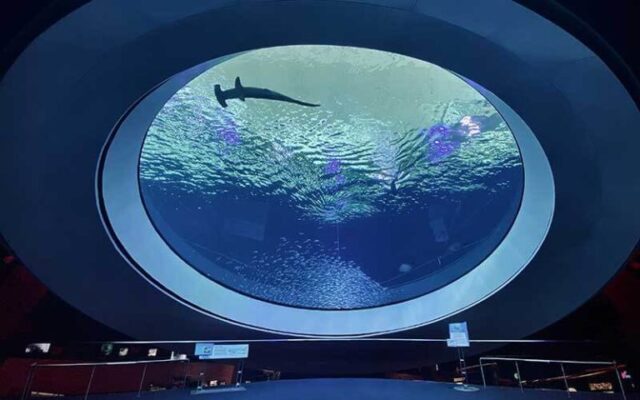 Ignite your curiosity and see your world differently at the Phillip and Patricia Frost Museum of Science (Frost Science), Miami’s only planetarium, aquarium and science museum. From discovering the fascinating science behind South Florida’s vibrant ecosystems to the miraculous human body and mind, a dazzling world of discovery awaits within each of their permanent and special exhibitions. 
@frostscience