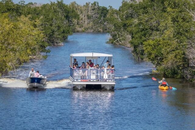 Flamingo Adventures offers the Backcountry Boat Tour or the Florida Bay Tour. On both tours your naturalist will highlight the unique plants and animals, and outline the rich history of Everglades National Park.
@flamingoeverglades
