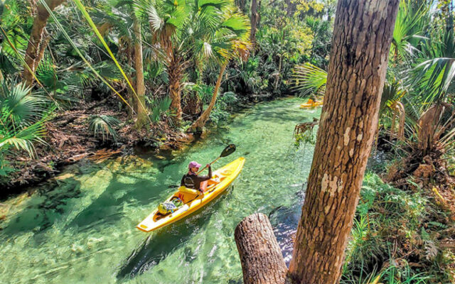 Just north of Orlando, King’s Landing offers an unparalleled gateway to the pristine beauty of Rock Springs Run. Whether you’re embarking on a self-guided paddle through the world-famous Emerald Cut, joining a guided tour to uncover the secrets of this lush oasis, or experiencing the magic of a sunrise paddle, every moment at King’s Landing is a chance to connect with Florida’s breathtaking natural beauty.
@kingslandingfl