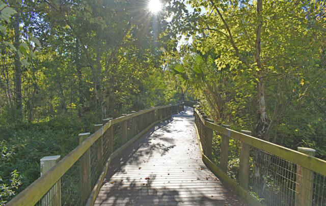 Seminole County is full of natural wonders and just minutes from Orlando's famous attractions. From state parks and preserves to placid lakes and waterways, there's a hundred reasons to visit and stay in Seminole County. Read about some of the area's many eco-activities in this article: https://www.enjoyflorida.com/best-orlando-parks-eco-activities
@doorlandonorth